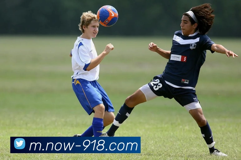 博天堂发展历程